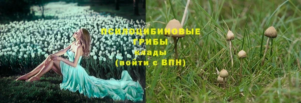 соль ск Алексин