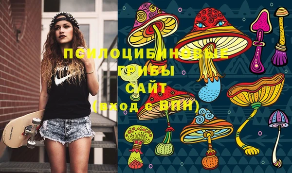 соль ск Алексин