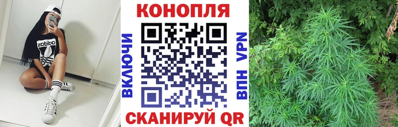 где купить наркотик  Камешково  Конопля индика 